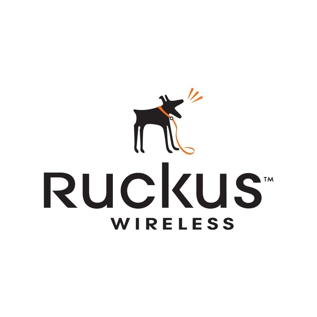 Ruckus WatchDog Advance Replacement - T310S - 3 Yr - 1 license(s) - 3 year(s)