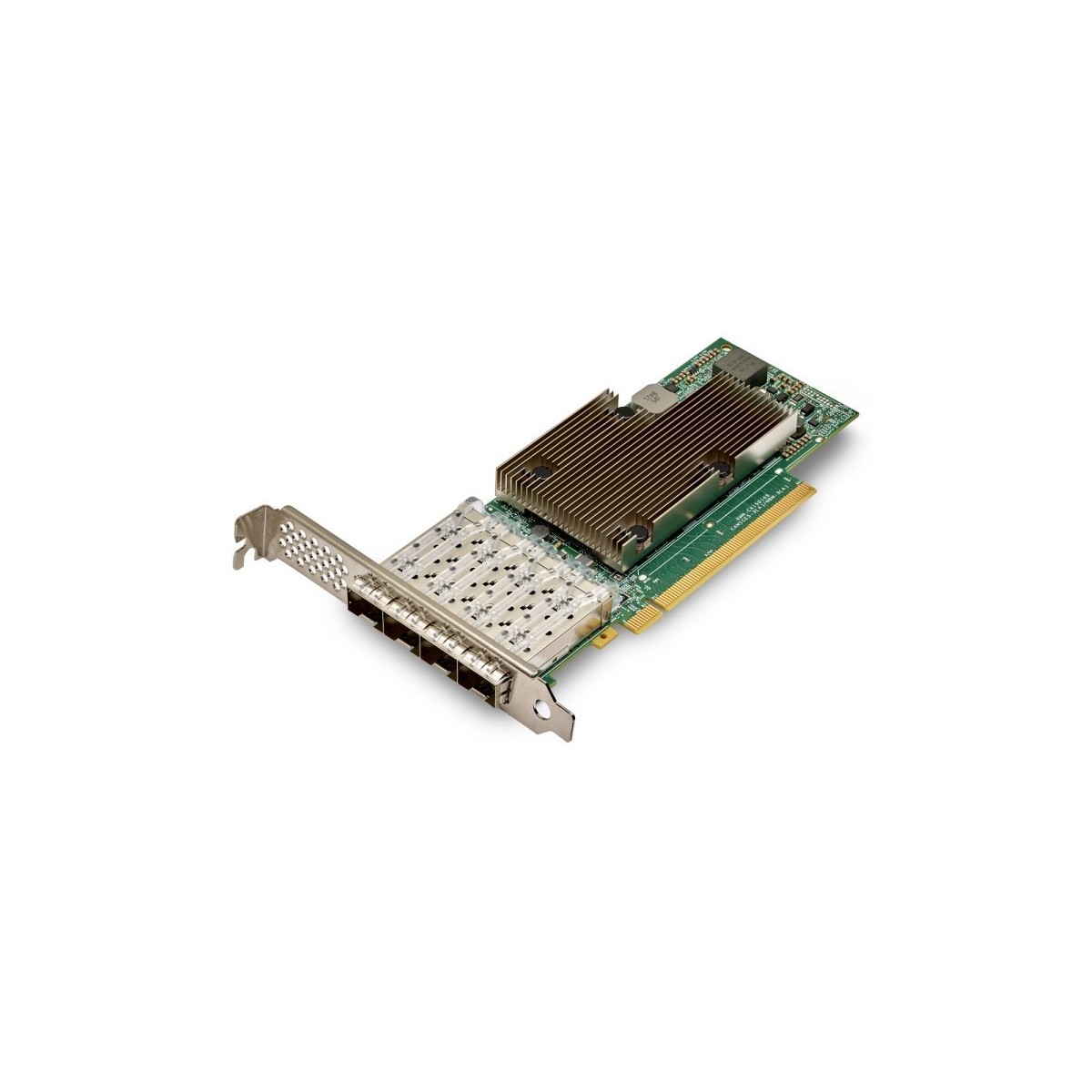 BROADCOM NetXtreme E-Series P425G - Netzwerkadapter - PCIe 4.0 x16 Low-Profile - 10/25 - Network Card