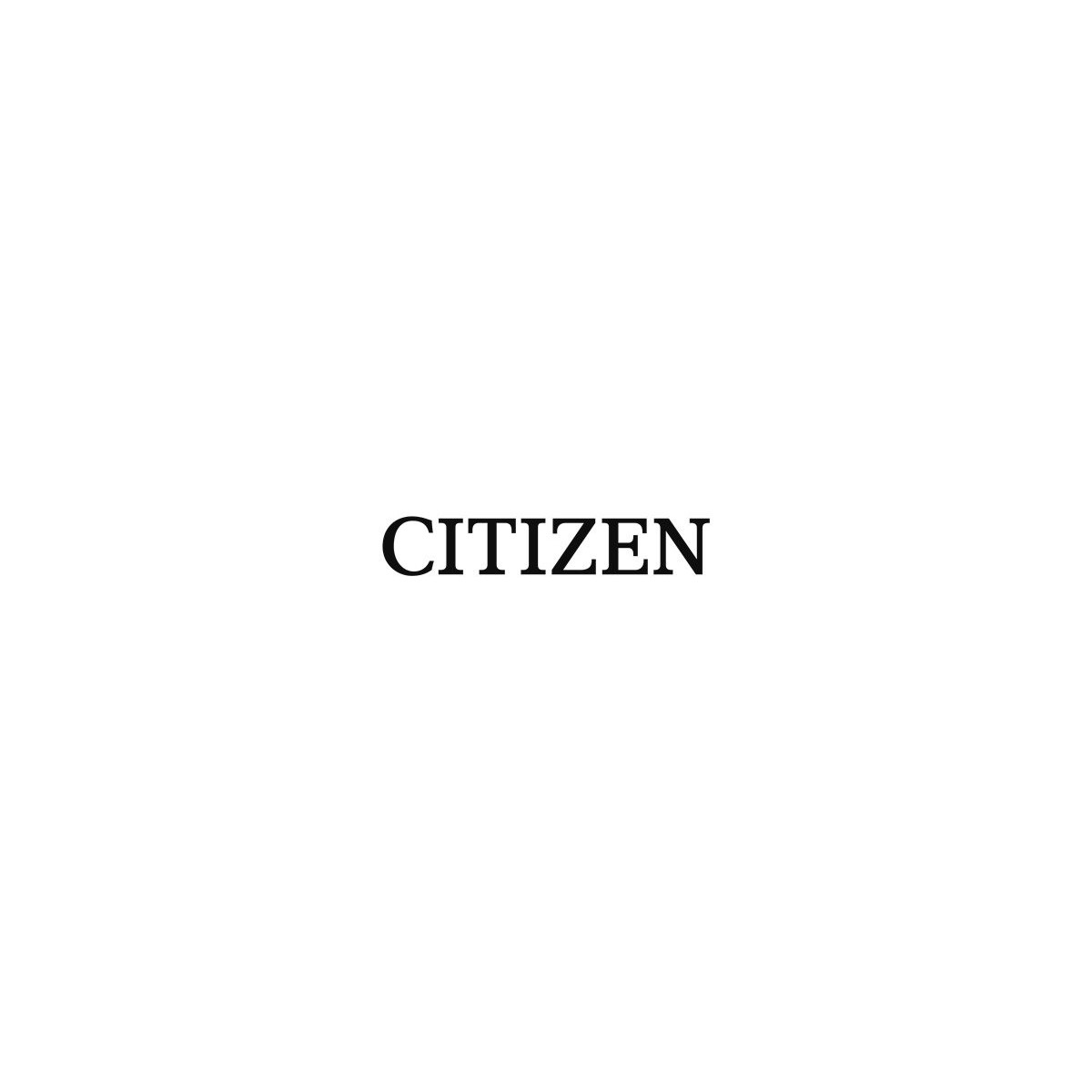 Citizen 2000424 - Cutter - Gray