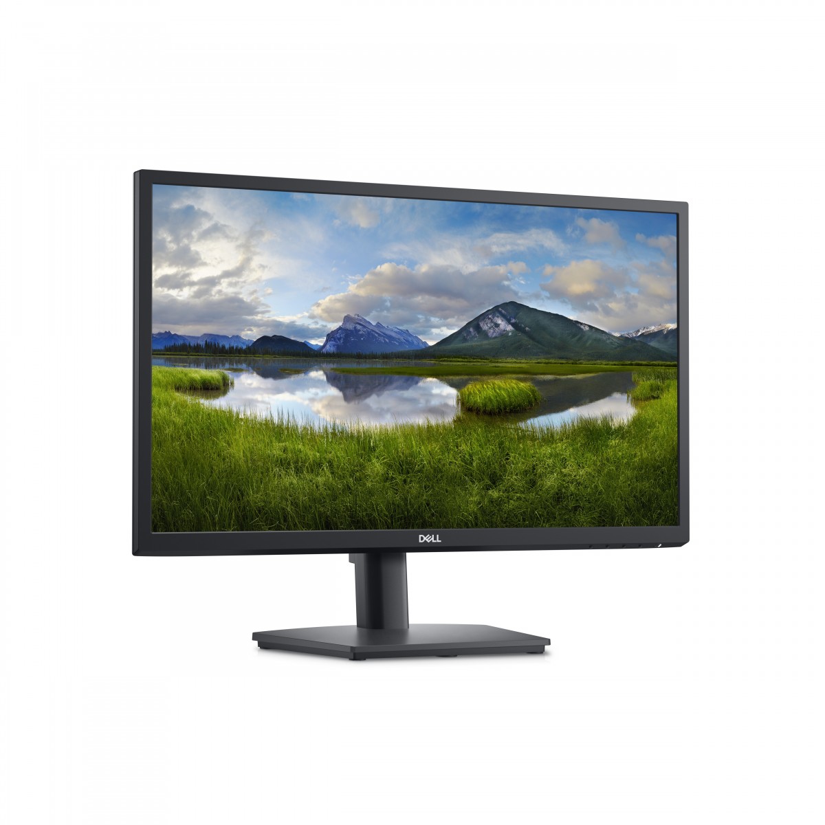 Dell 24 Monitor - E2422HS - 60.5 cm 23.8 - Flat Screen