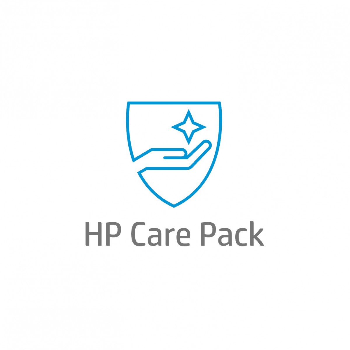HP Electronic HP Care Pack Next Business Day Hardware