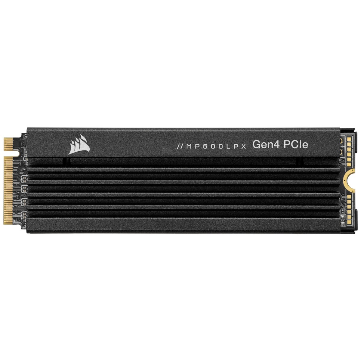 Corsair CSSD-F2000GBMP600PLP 2,000 GB - Solid State Disk