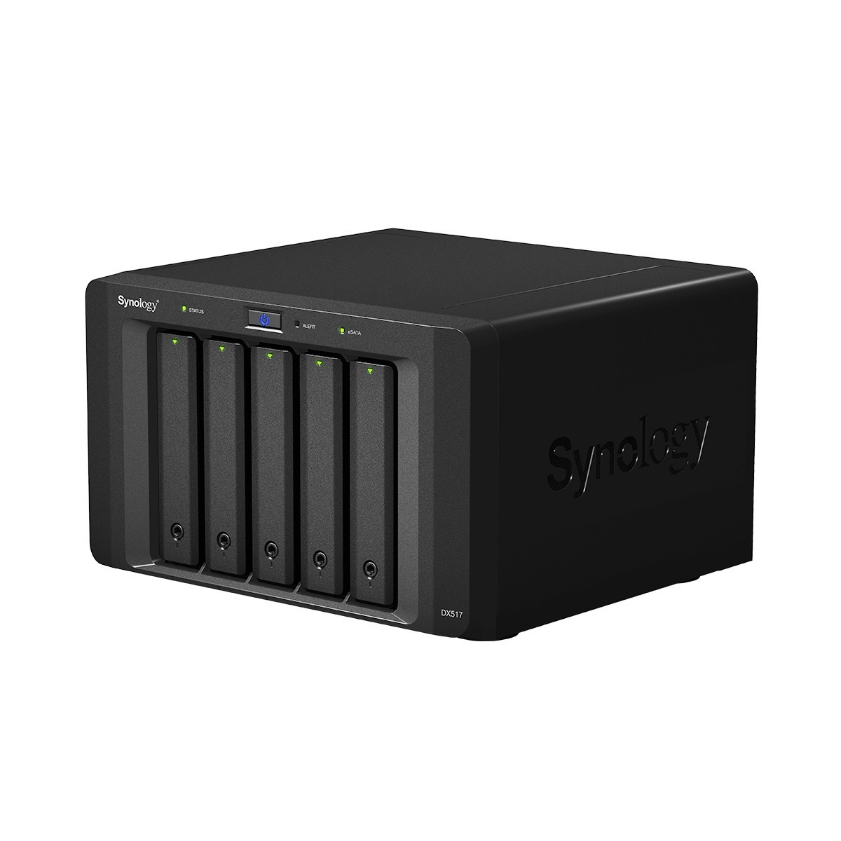 Synology DX517 - 3.91 kg - Desktop - Black