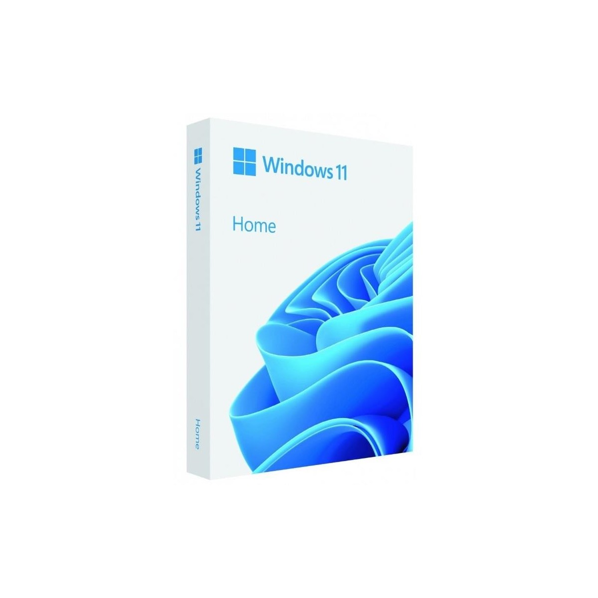Oprogramowanie Microsoft Windows Home 11 PL Box 64bit USB