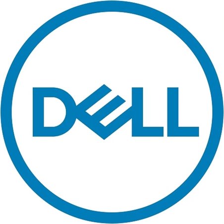 Dell 960GB SSD SAS RI 12Gbps 512e 2.5in - Solid State Disk - Serial Attached SCSI (SAS)