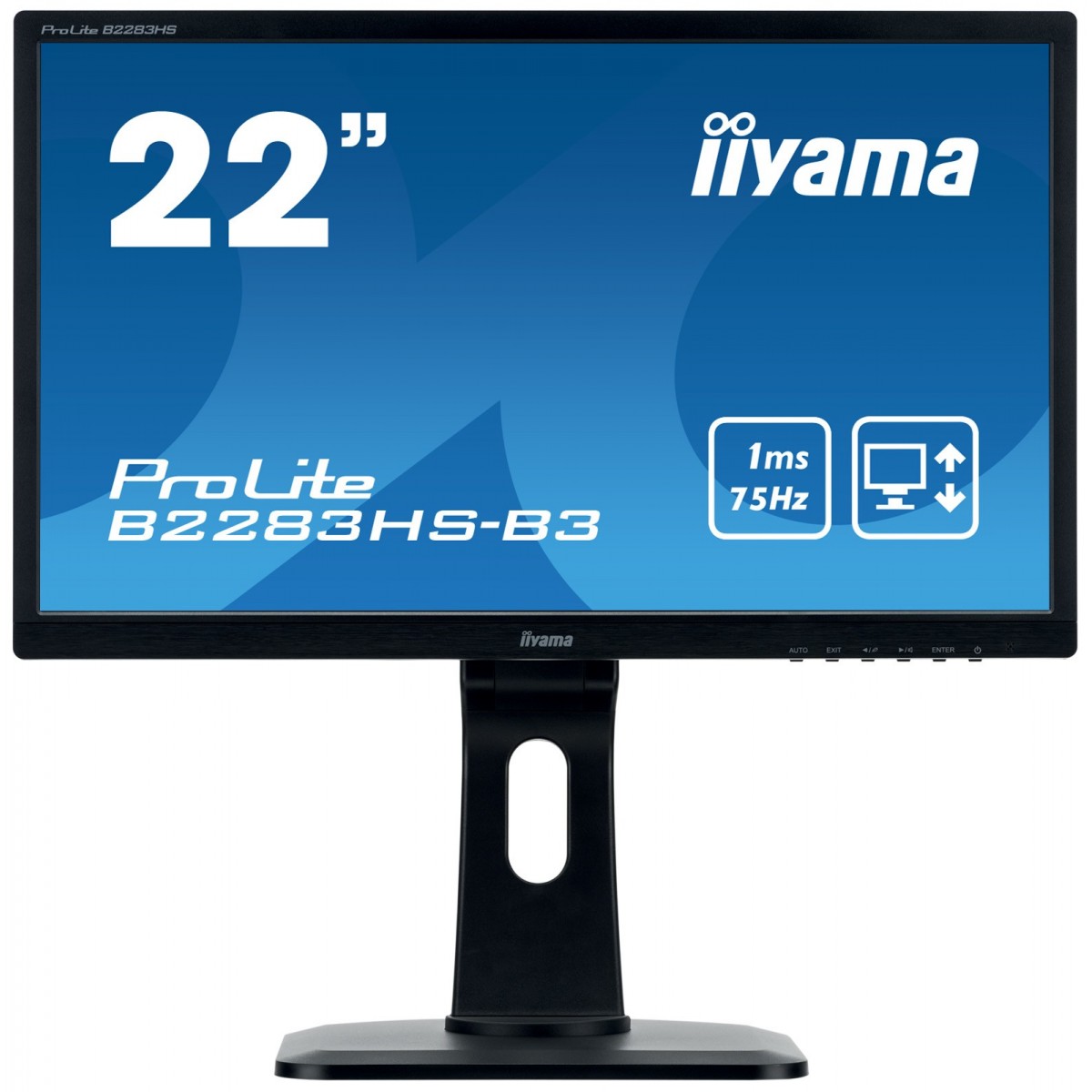 Iiyama ProLite B2283HS-B3 - 54.6 cm (21.5) - 1920 x 1080 pixels - Full HD - LED - 1 ms - Black