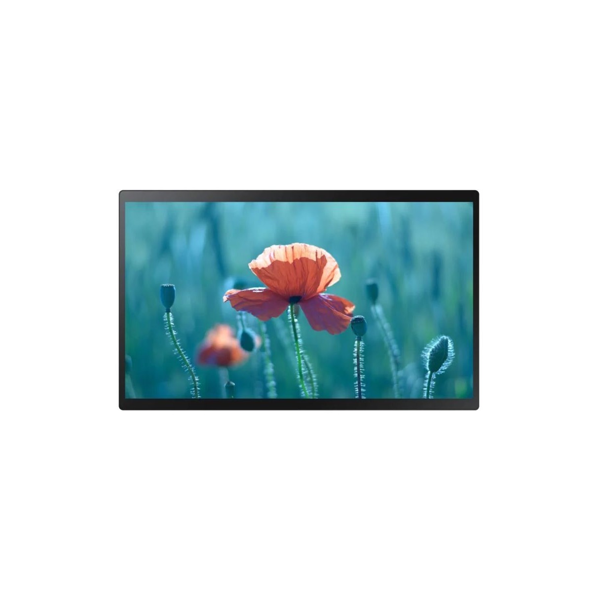 Samsung QB24R-T - 61 cm (24) - 1920 x 1080 pixels - 250 cd/m² - Full HD - 16:9 - 14 ms