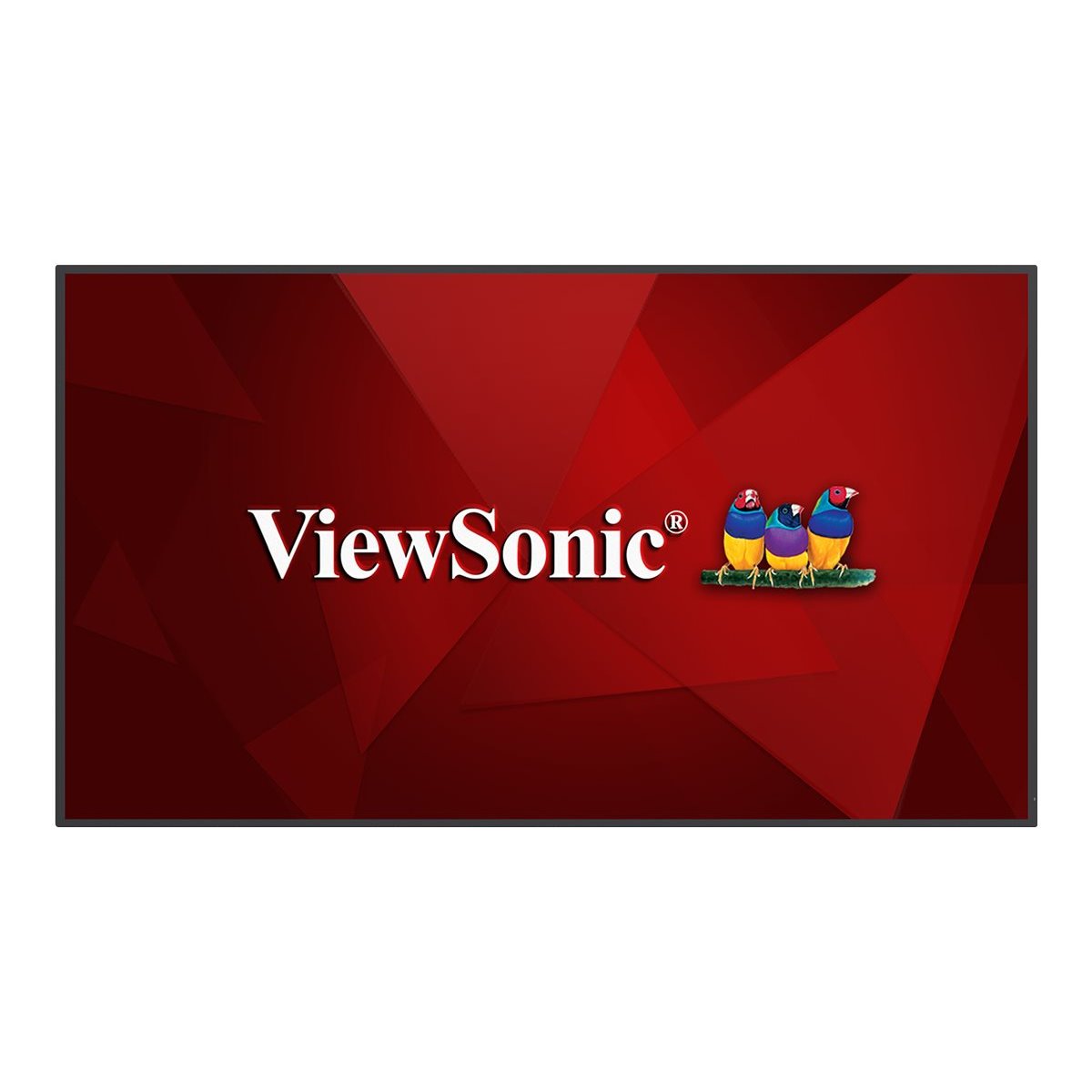 ViewBoard LED display - 55inch - 4K - 450 nits - Android 11 - 24-7 - USB-C - landscape  portrait