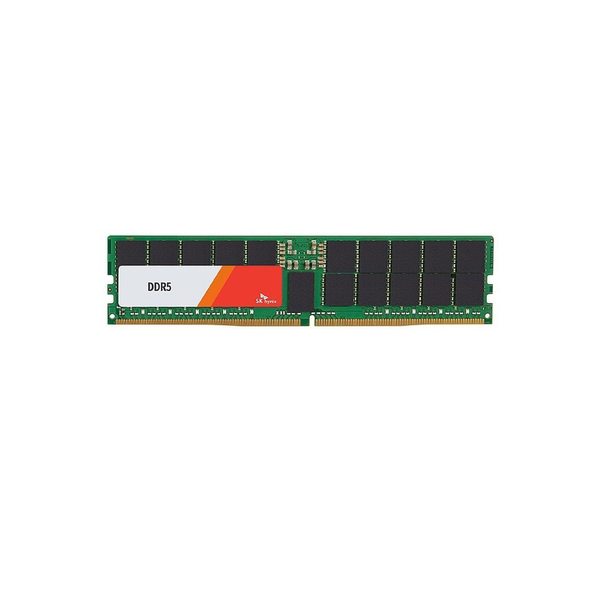 Hynix 48 GB reg. ECC DDR5-4800 HMCGY8MEBRB - 48 GB - DDR5