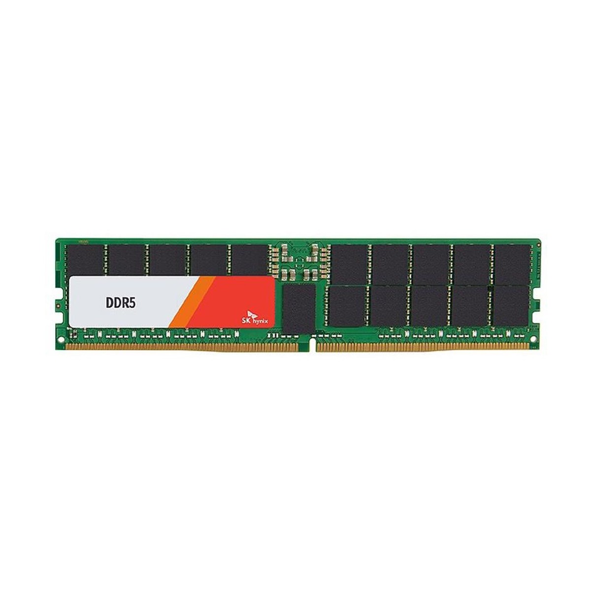Hynix DDR5 - module - 64 GB - DIMM 288-pin - 4800 MHz PC5-38400 - 64 GB - DDR5