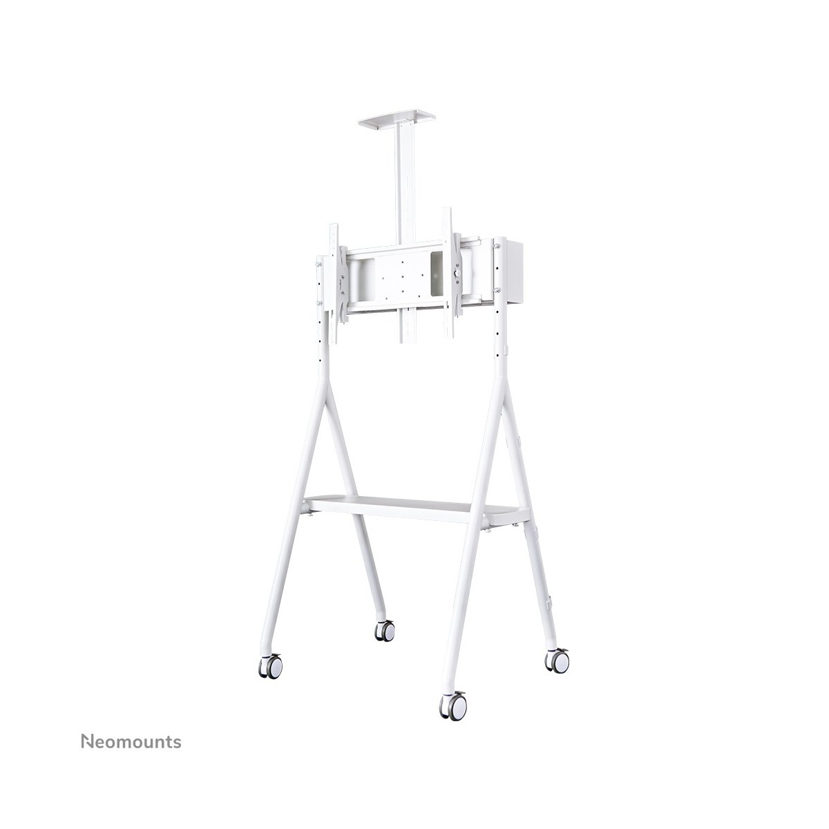 Neomounts by Newstar floor stand - 50 kg - 81.3 cm (32) - 165.1 cm (65) - 600 x 400 mm - Height adjustment - White
