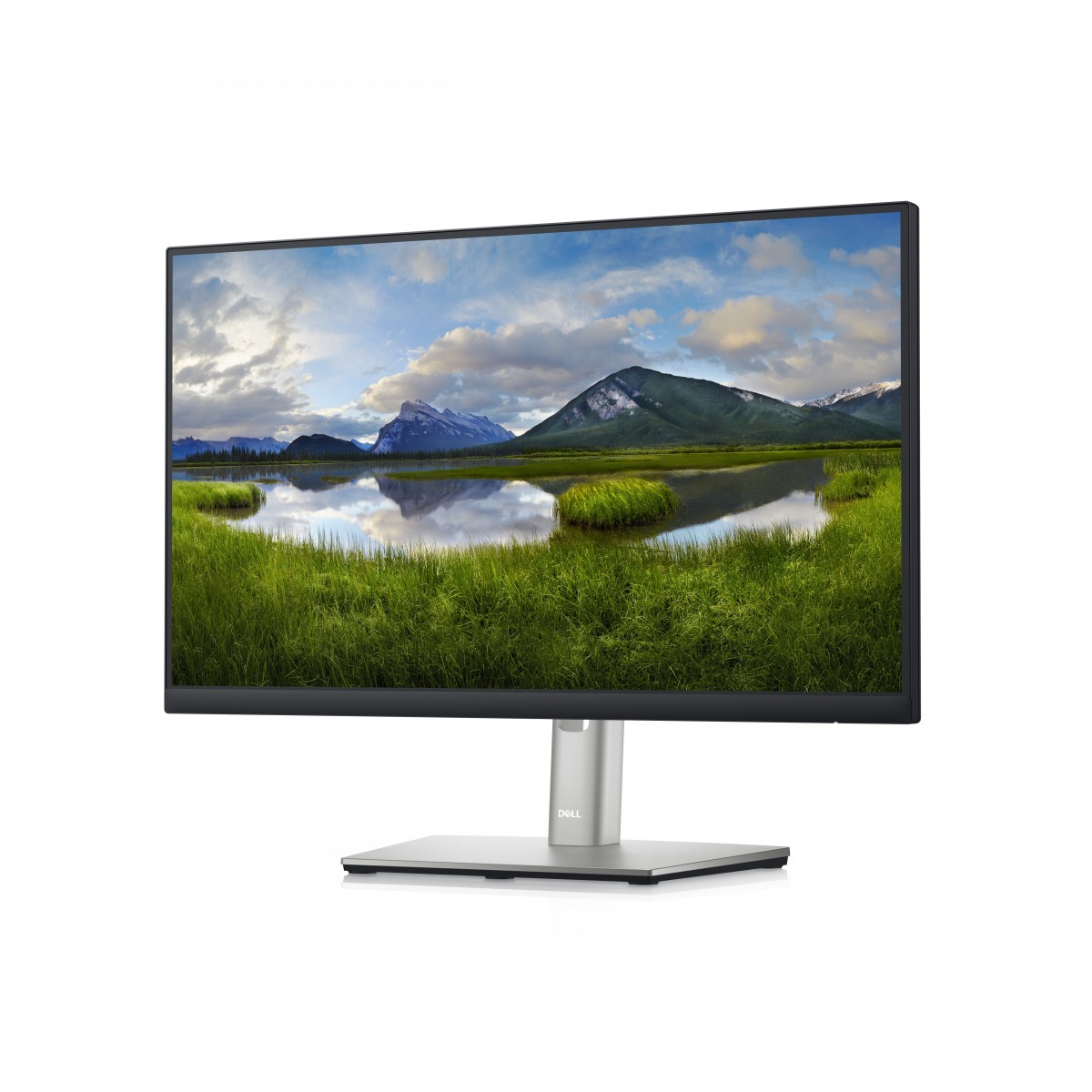 Dell 22 Monitor - P2222H - 54.6 cm (21.5) - 1920 x 1080 pixels - Full HD - LCD - 8 ms - Black - Silver