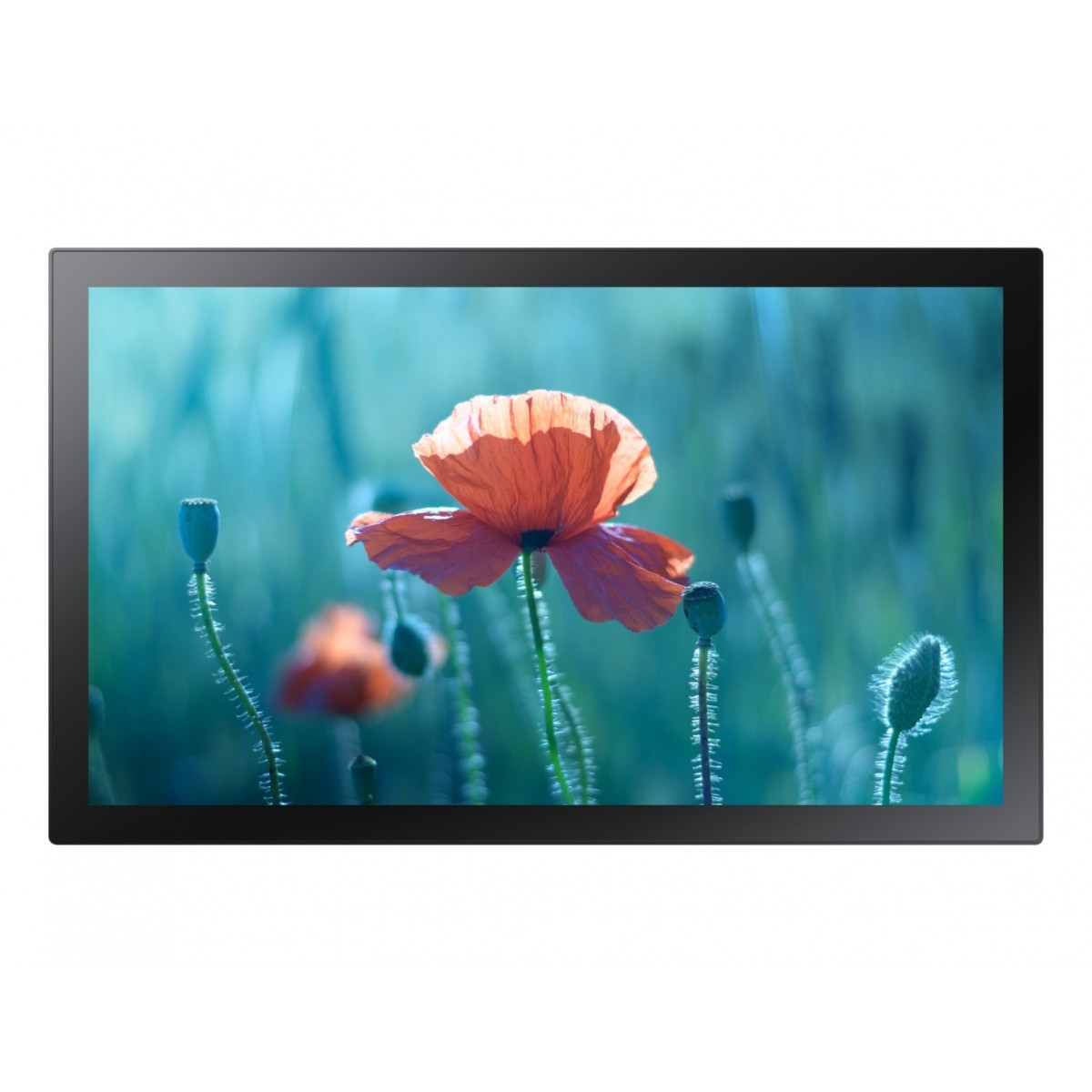 Samsung QB13R-T - 33 cm (13) - 1920 x 1080 pixels - 250 cd/m² - Full HD - 16:9 - 8 ms